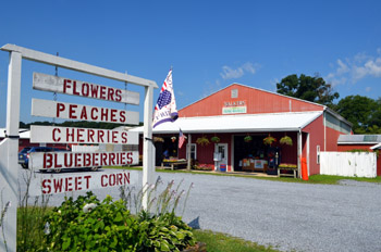 Photo of Walker Brothers Market