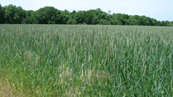 Land preservation types in New Jersey.