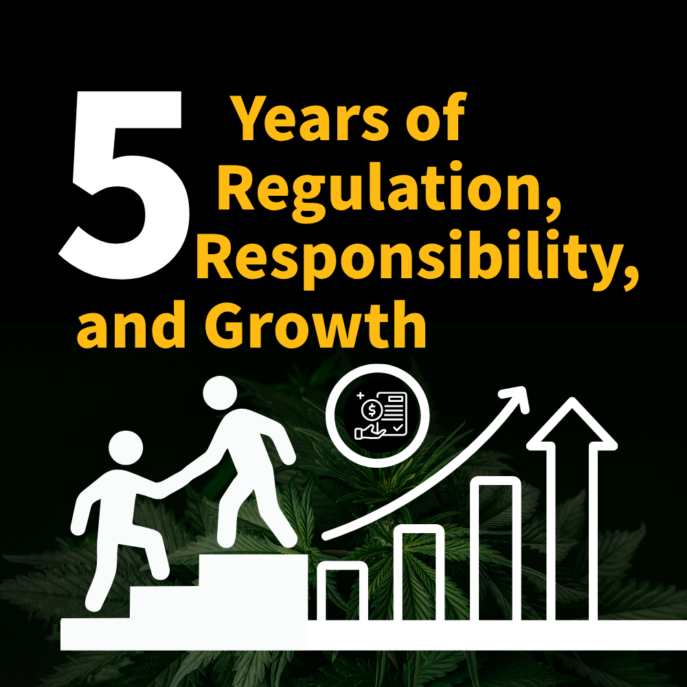 Five years of regulation, responsibility, and growth