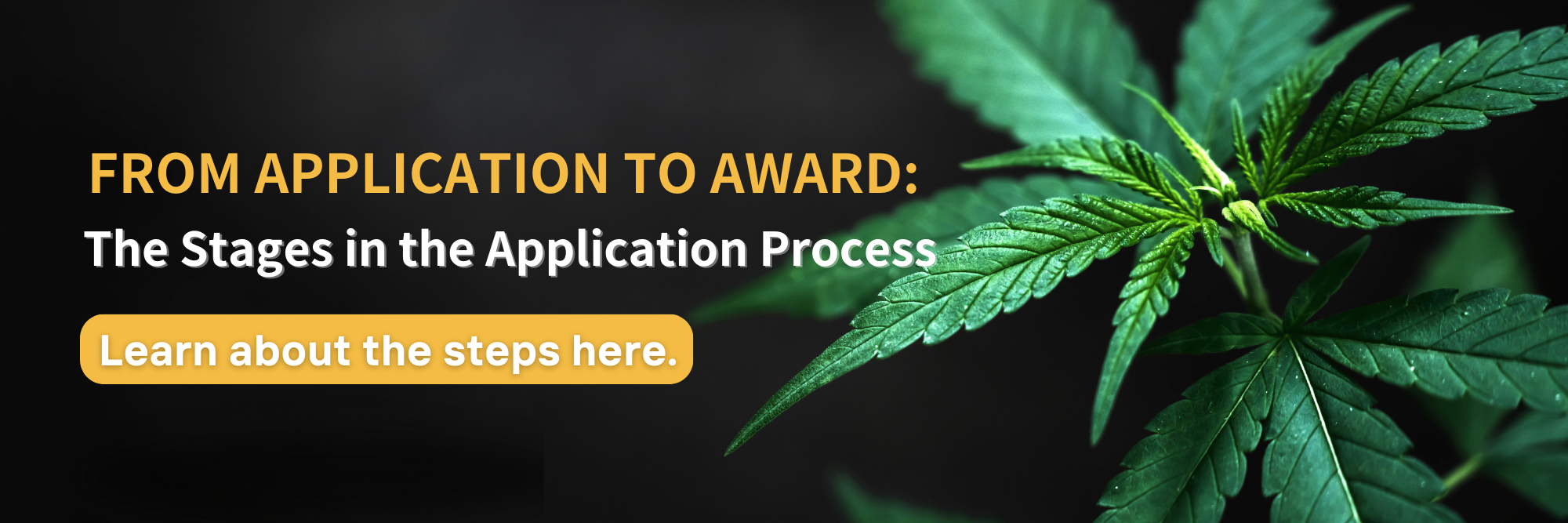 From application to award: the stages of the application process