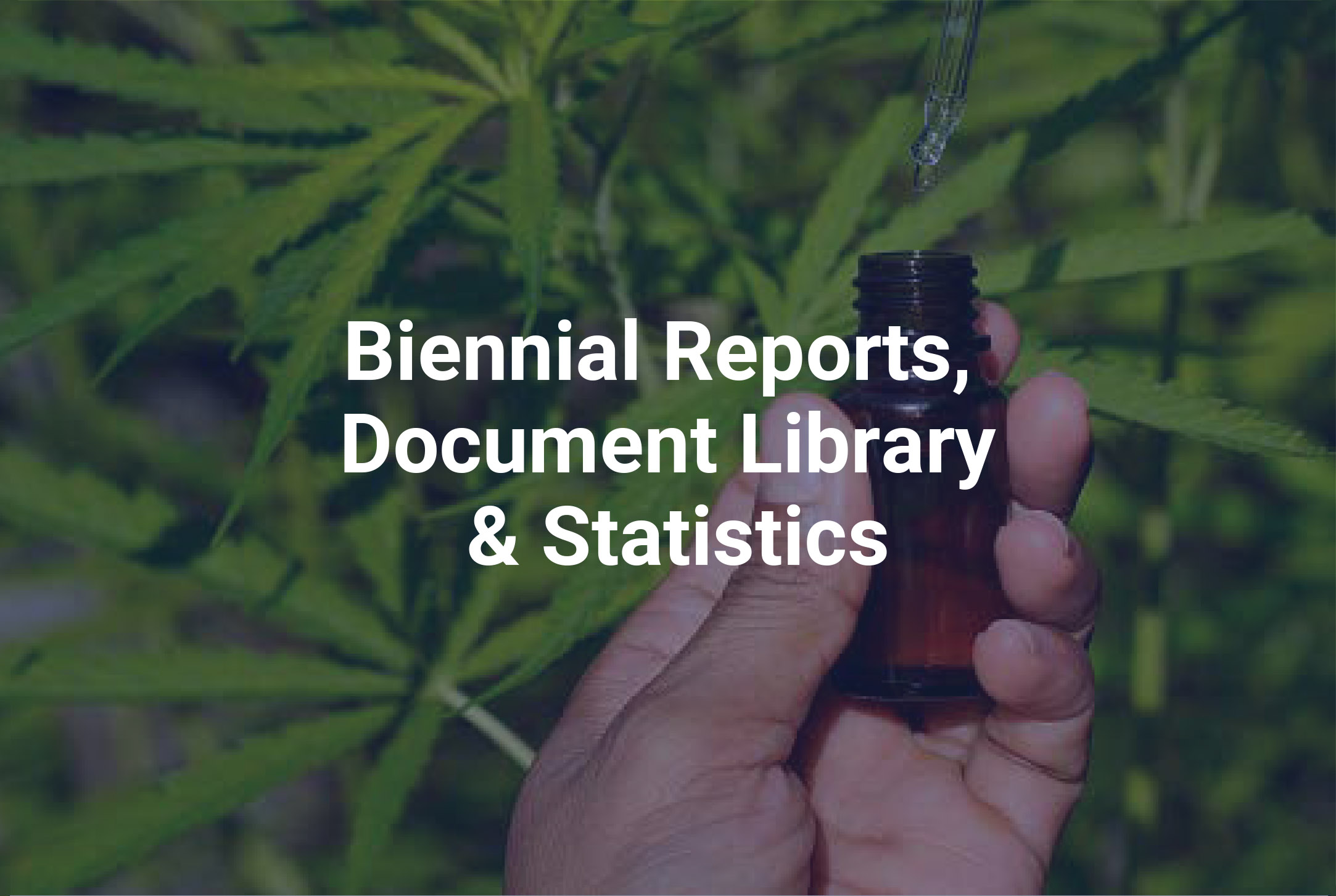 Biennial Reports, Document Library & Statistics