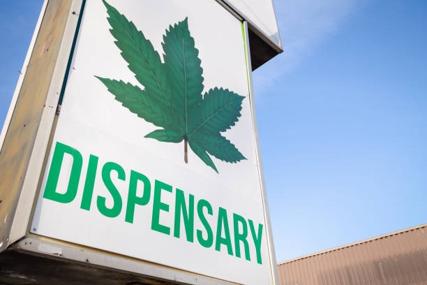 Cannabis Leaf and copy Dispensary : PHOTO