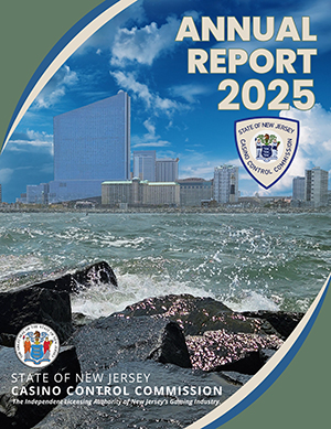 Annual Report 2025