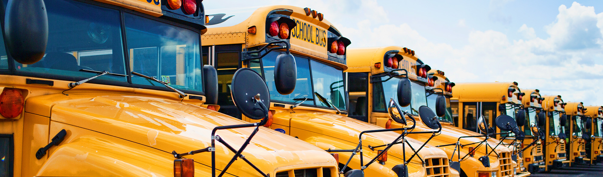 Photo: School buses in a row