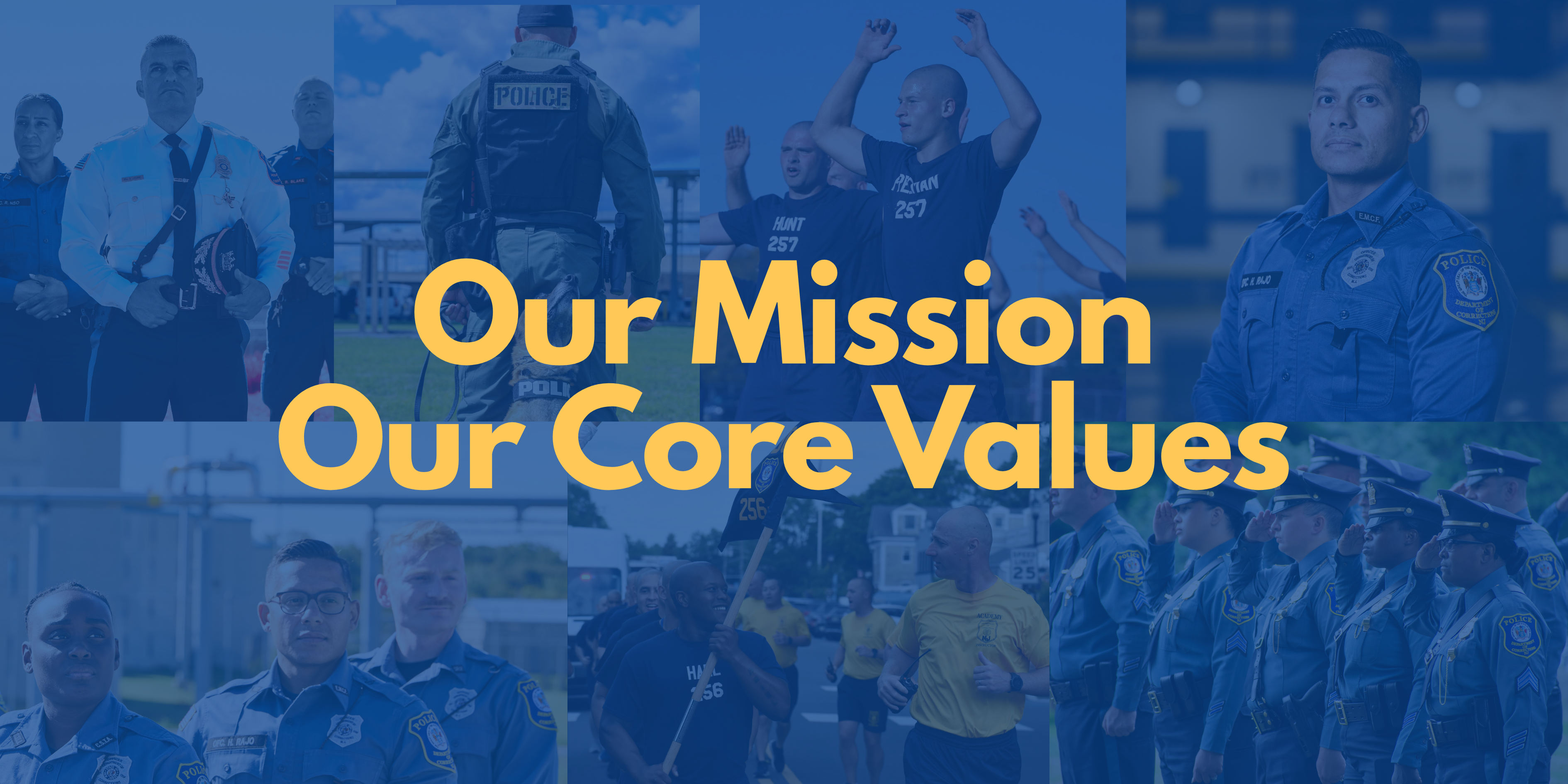 Shaping the Future: Introducing Our Updated Mission and Core Values