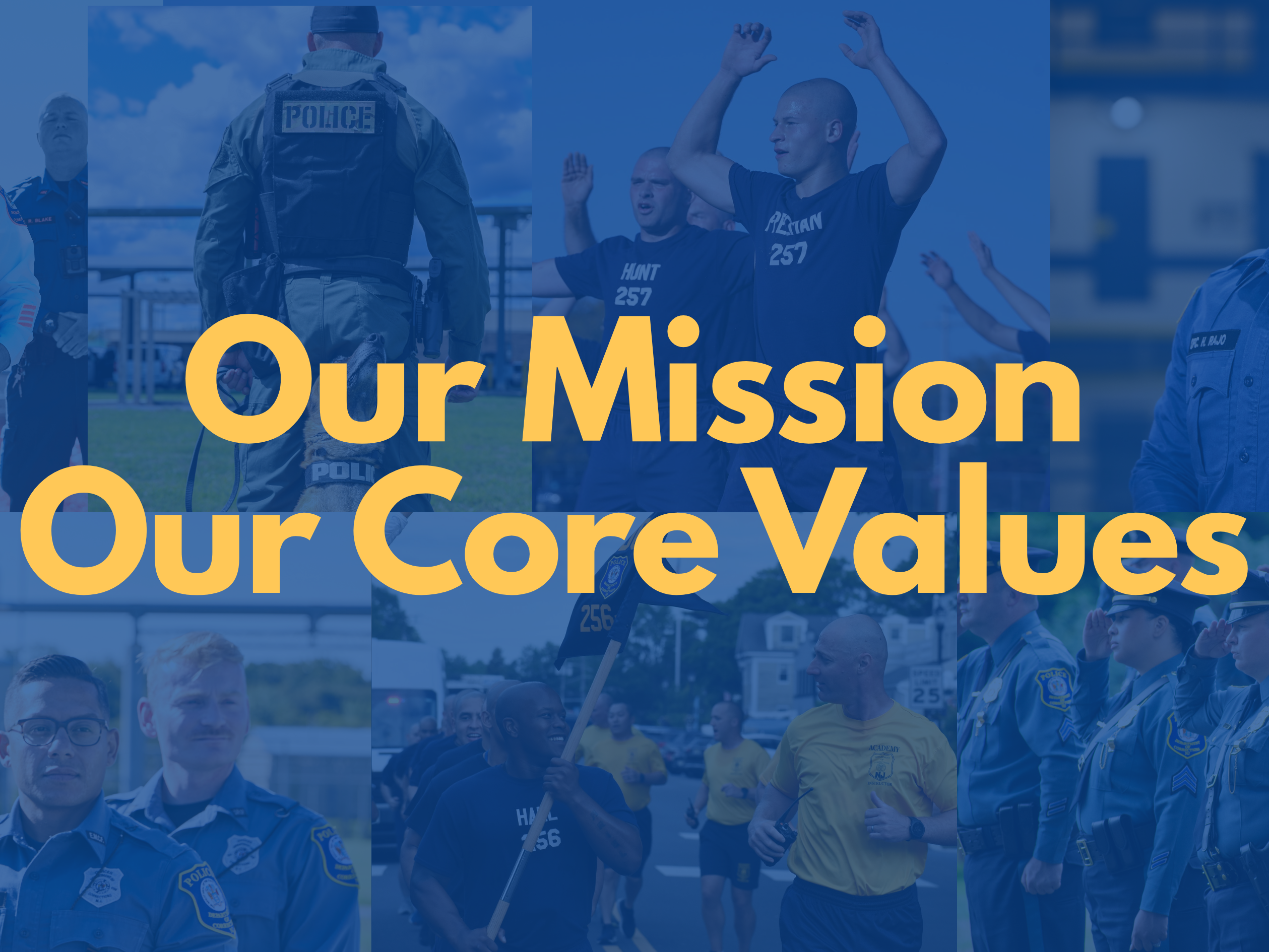 Shaping the Future: Introducing Our Updated Mission and Core Values