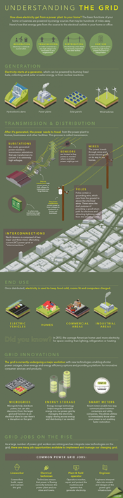 The Grid Infographic