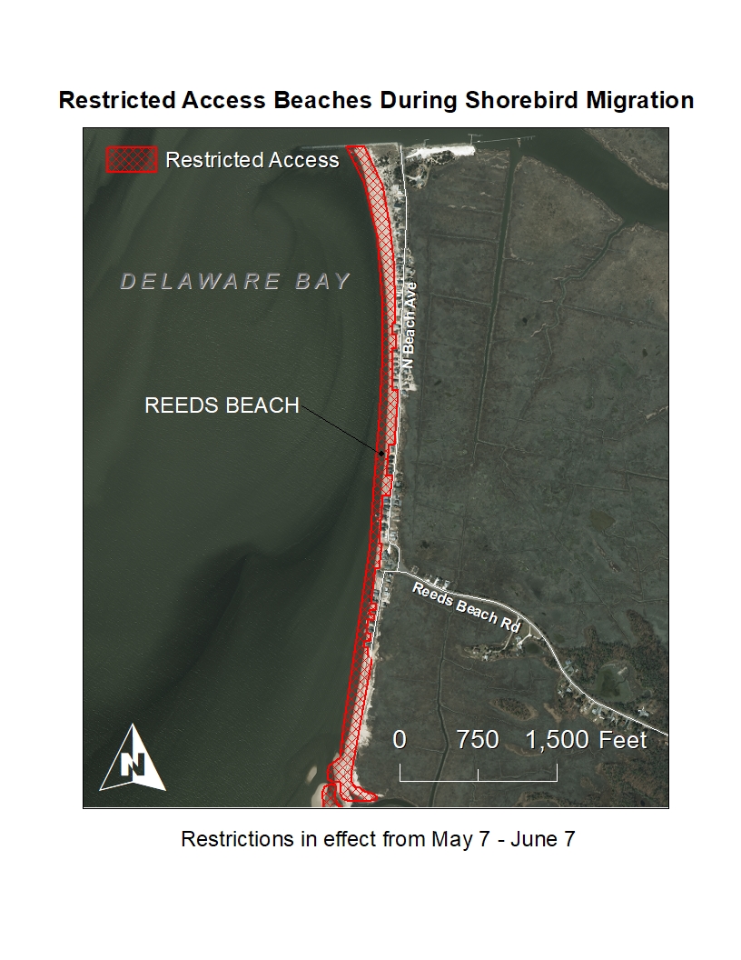 NJDEP Fish & Wildlife Seasonal Restricted Access Maps Delaware Bay