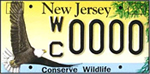 Eagle License Plate