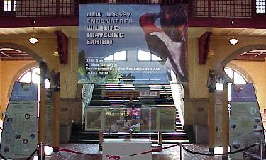 Endangered Wildlife exhibit
