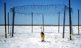 Electric fence exclosure