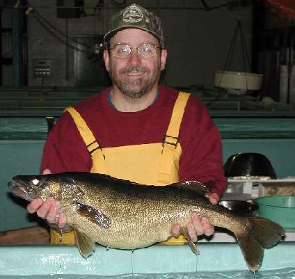 Large walleye breeder