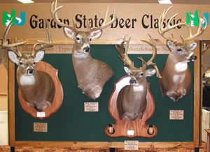 Display at Deer Classic