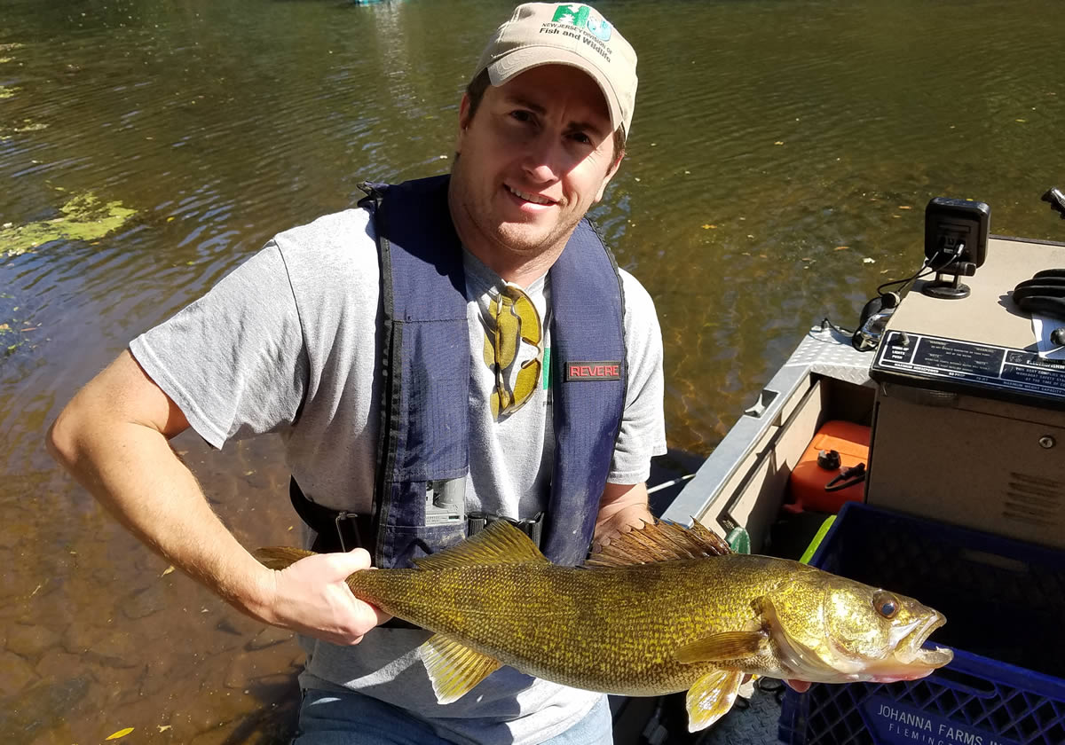 NJDEP Division of Fish & Wildlife - Electrofishing Surveys Shed Light on  Dynamic Millstone River Fishery