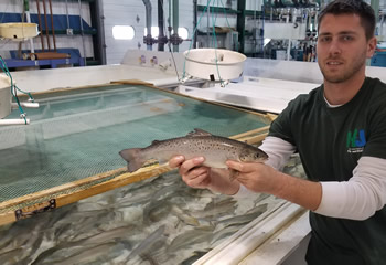 Fisheries worker Nick Ruberto with salmon