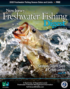 Fishing New Jersey: A Guide for Freshwater Anglers [Book]