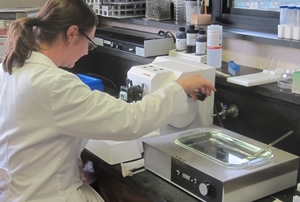 Biologist at work in lab