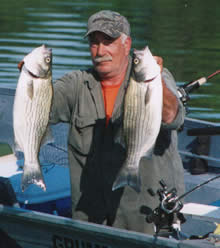 Angler with two bass