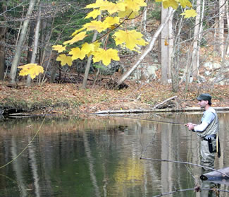 Fall fly fisherman