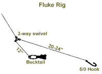 fluke rig graphic