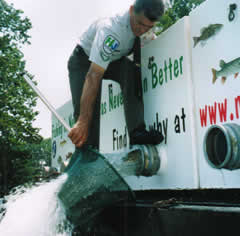 Netting fish from truck