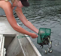 Float stocking walleye