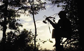 Crossbow hunter in treestand