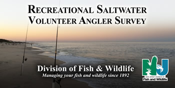 Recreational Angler Survey 