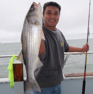 Angler with striped bass