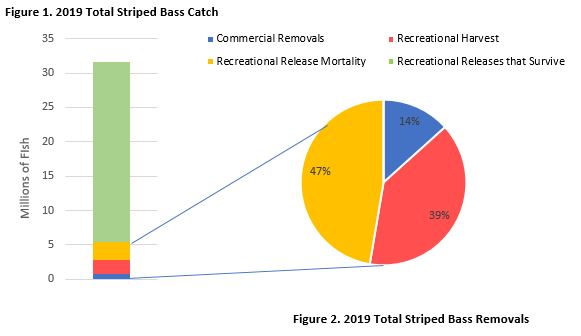 2019 Striped Bass Catch and Removals