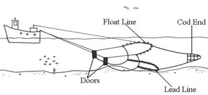 Diagram of trawl net