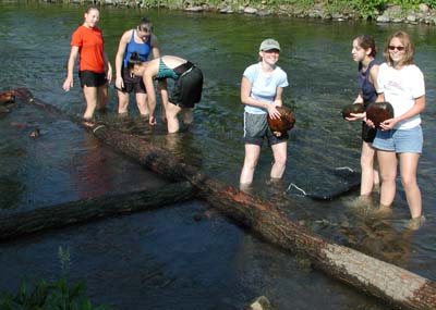 Kids filling log frame