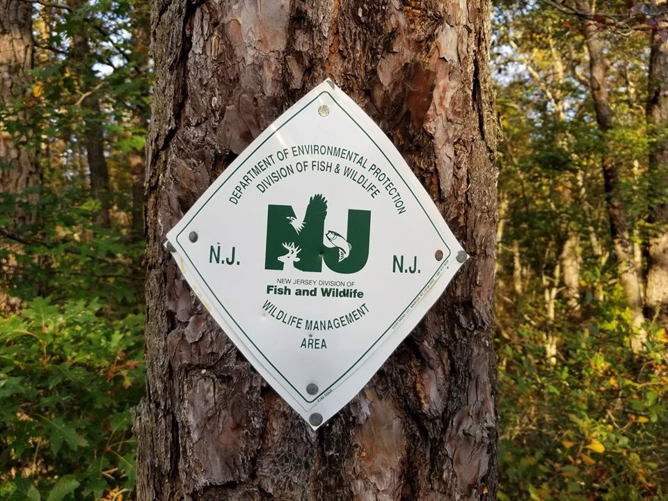 Photo of Fish and Wildlife Sign on Tree