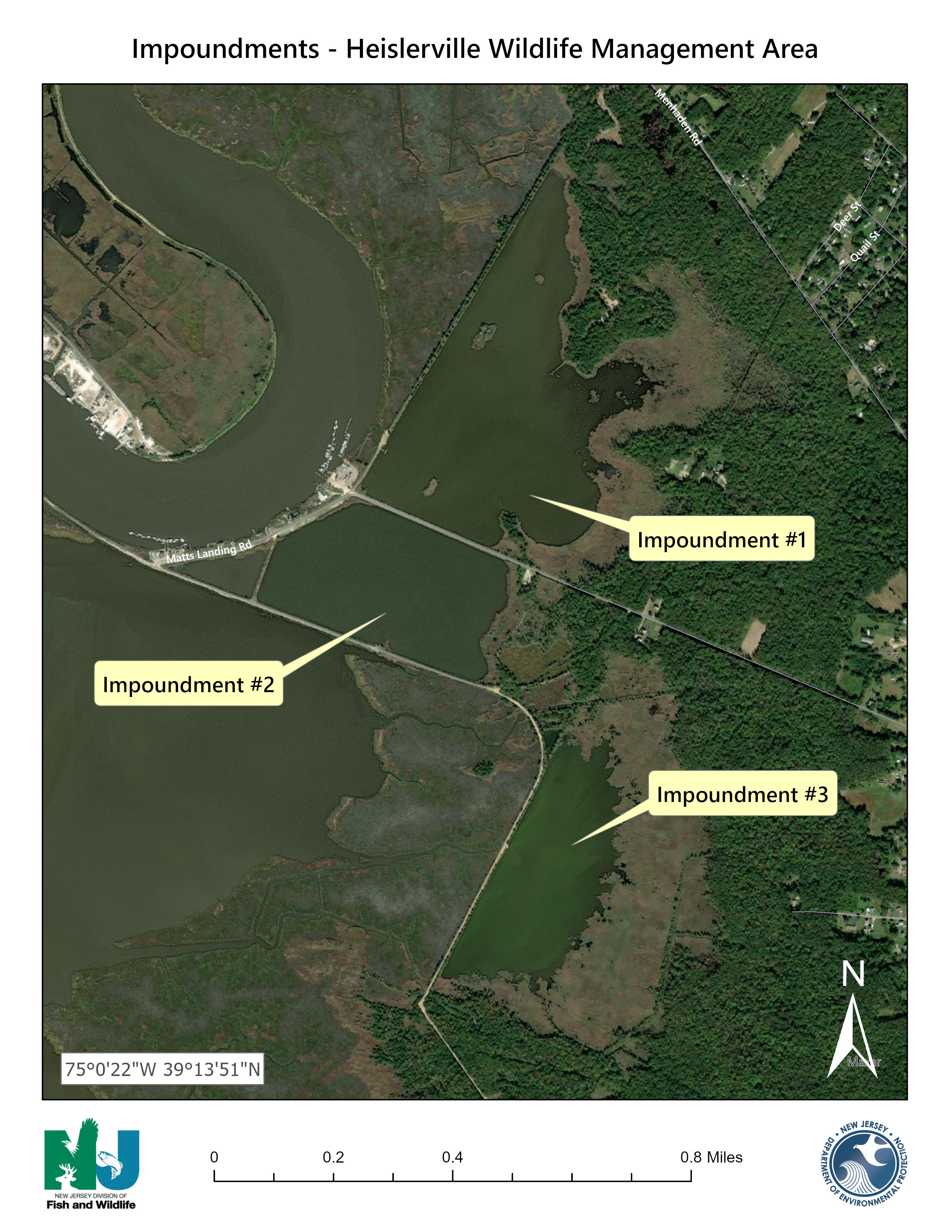 Aerial View of Heislerville WMA Impoundments