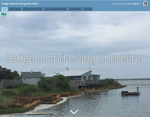 Sedge Island Living Shoreline Link