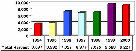 Permit Bow Harvest by Year