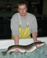 Ed Conley with northern pike
