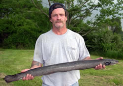 David Payne with record eel