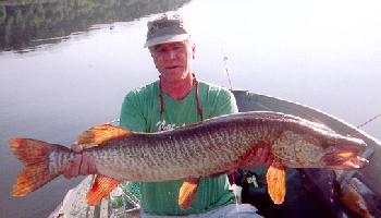 Bob Bujnowski with nice tiger