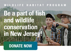 Wildlife Habitat Program - Be a part of fish and wildlife conservation in New Jersey! Donate Now