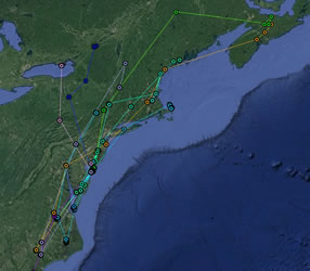  Map showing movement data of New Jersey tagged woodcock from (December 2018 - April 2019)