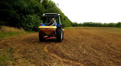 Seeding wildlife food plot