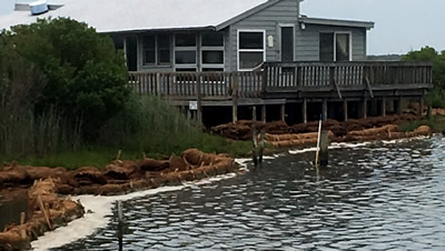 Living shoreline in place protecting house