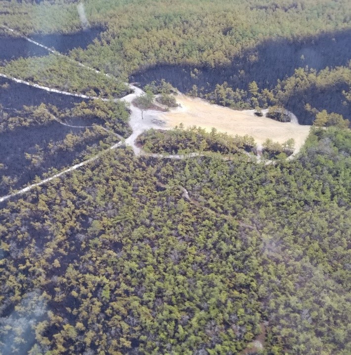 An aerial view of the fires suspected area of origin in Penn State Forest