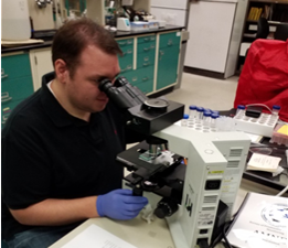 photo: July 23, 2019 HarmfulDEP Division of Science and Research Scientist performing cyanobacteria identification and cell counts. Source: DEP.
