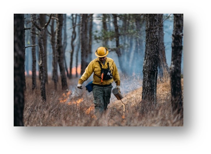 Prescribed burning at the Stafford Forge Wildlife Management Area, March 2022