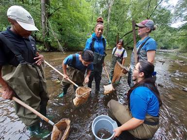 Youth Inclusion Initiative participants use nets to collect aquatic insects from a stream. 