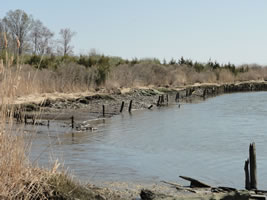NJDEP-Office of Natural Resource Restoration-Mad Horse Creek Wetland ...