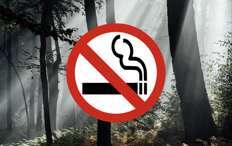 Smoking Prohibited in State Parks & Forests