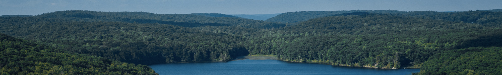 Wawayanda State Park